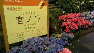 IMAG7613.jpg